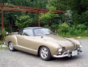 L351 リザードグリーン 角テール