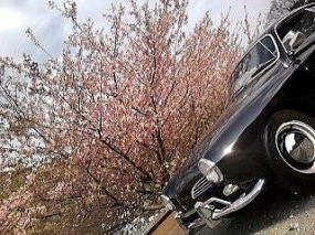 カルマンギア 1969